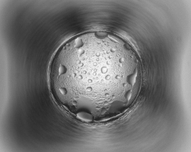 X0000094081235200711021507