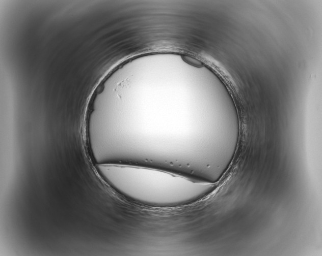 X0000094081236200711021507