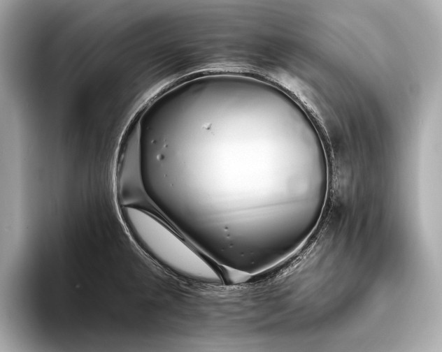 X0000094081237200711021507