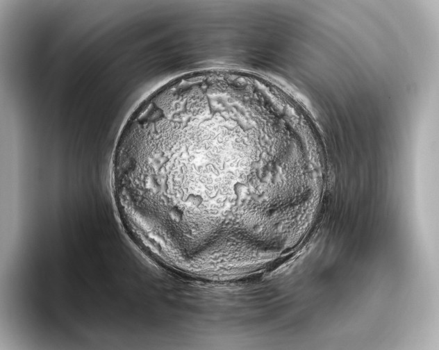 X0000094081239200711021507