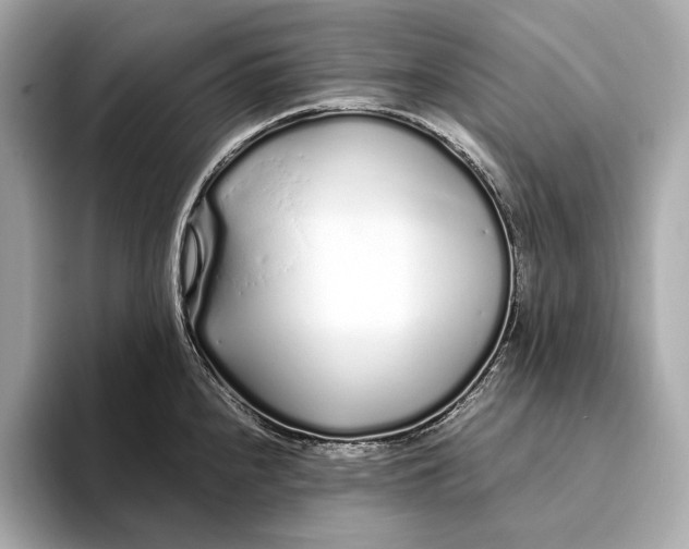 X0000094081240200711021507