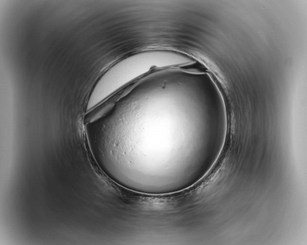 X0000094081241200711021507