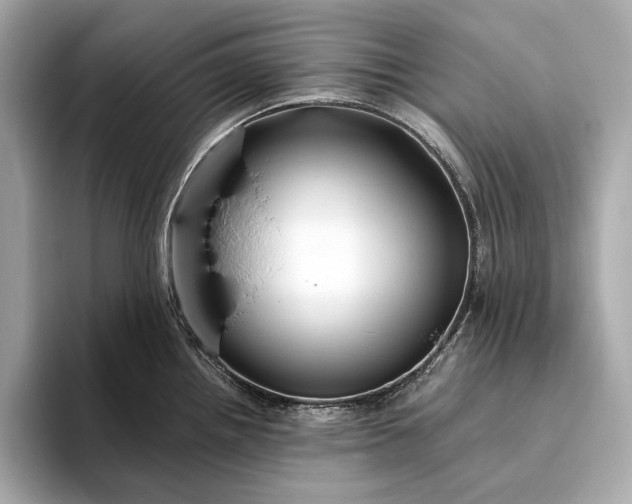 X0000094081242200711021507