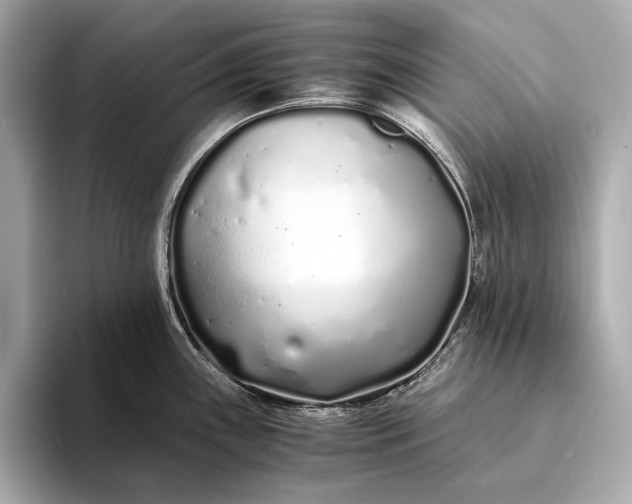 X0000094081243200711021507