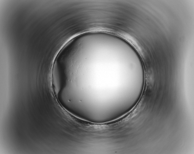 X0000094081244200711021507