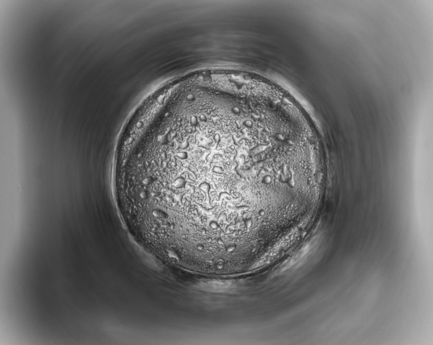 X0000094081245200711021507