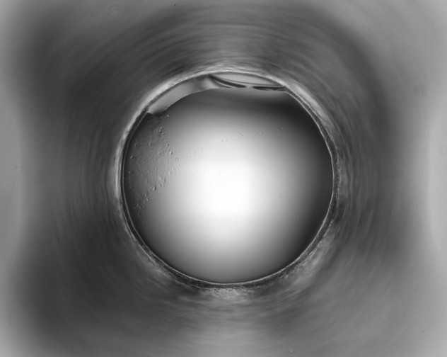 X0000094081246200711021507