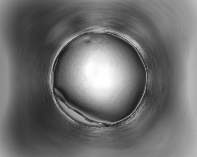 X0000094081247200711021507