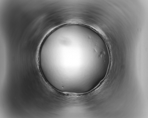 X0000094081248200711021507