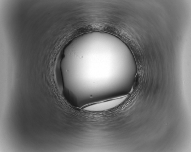 X0000094081249200711021507