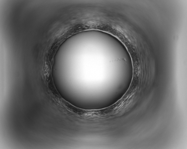 X0000094081253200711021507