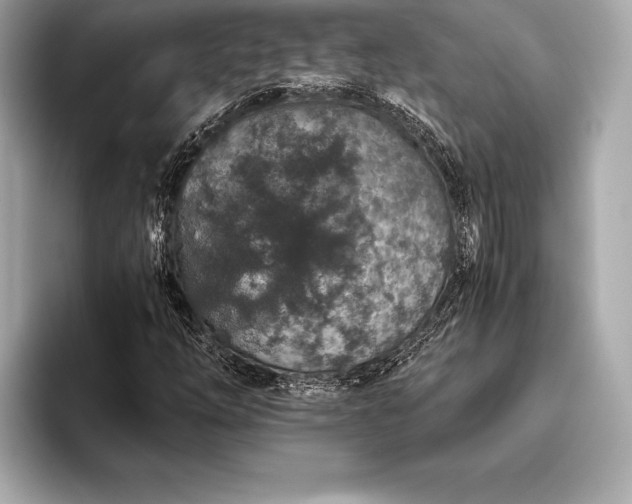 X0000094081254200711021507