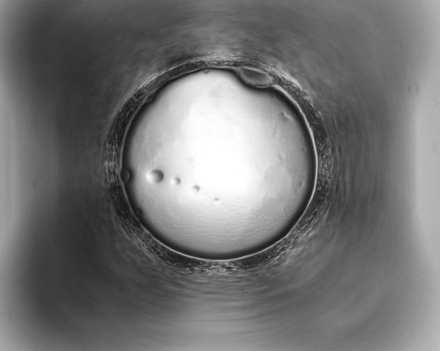 X0000094081255200711021507