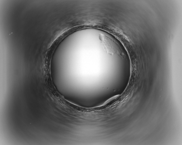 X0000094081256200711021507