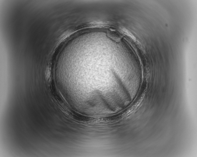 X0000094081259200711021507