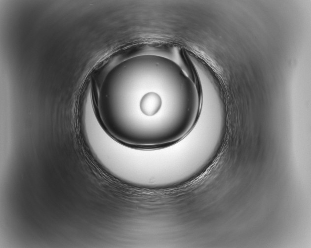 X0000094081261200711021507