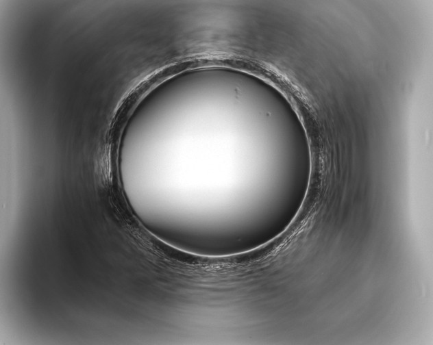 X0000094081262200711021507