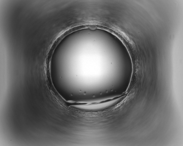 X0000094081264200711021507