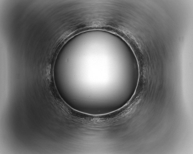 X0000094081265200711021507