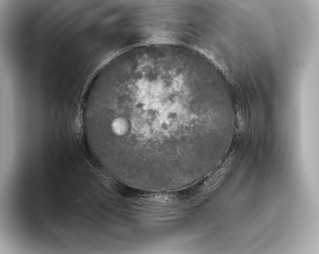 X0000094081266200711021507