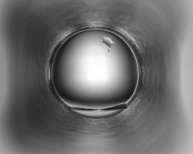 X0000094081269200711021507