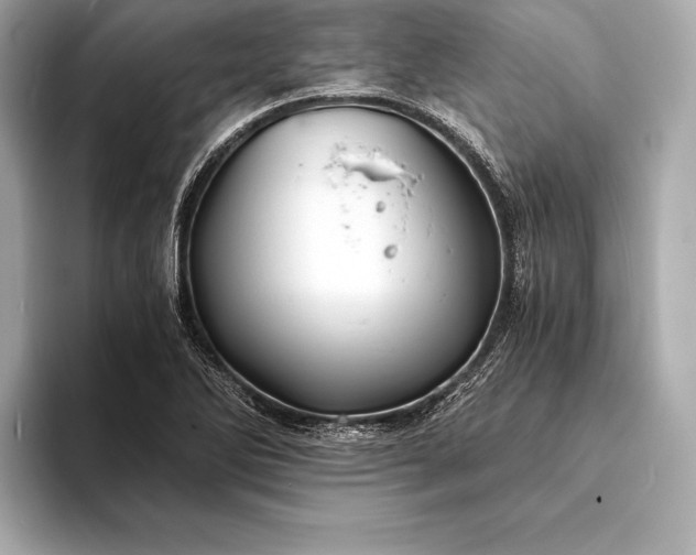 X0000094081270200711021507