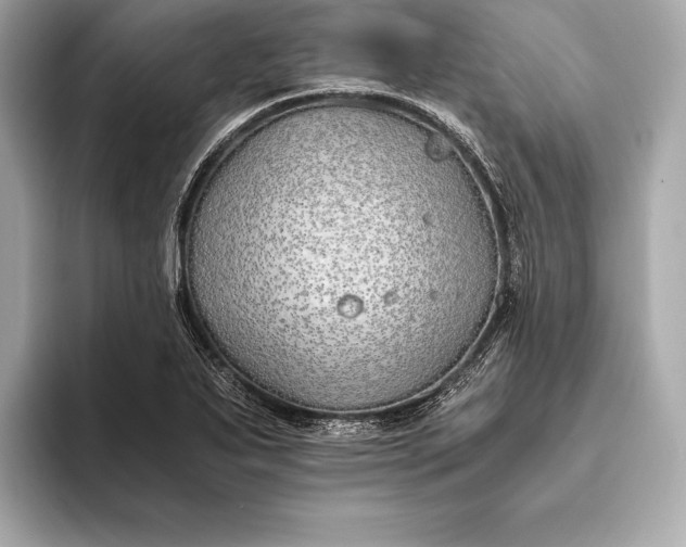 X0000094081271200711021507