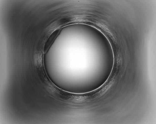 X0000094081273200711021507