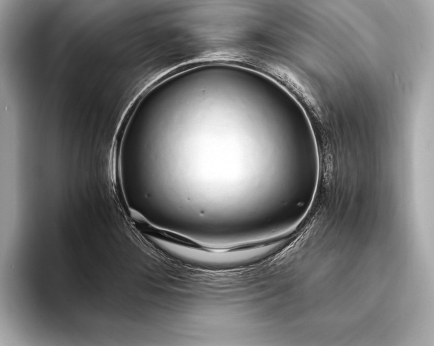 X0000094081276200711021507