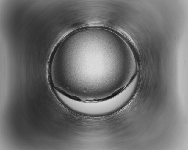 X0000094081277200711021507