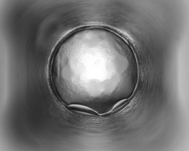 X0000094081279200711021506