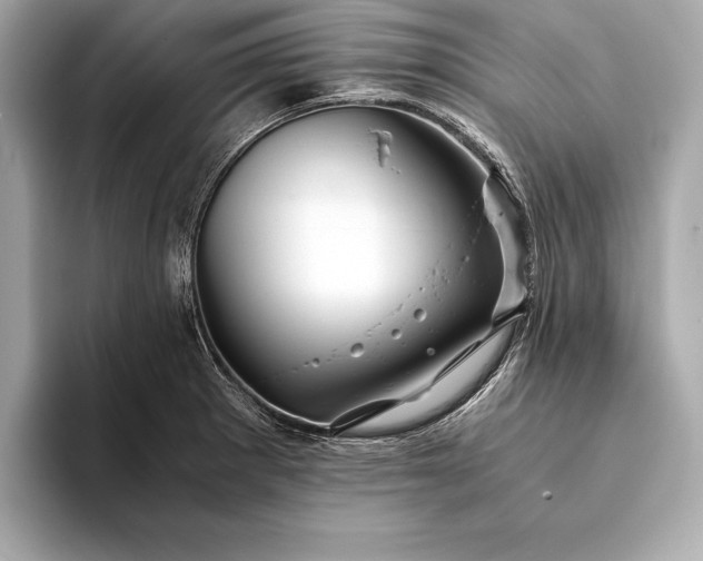 X0000094081281200711021506