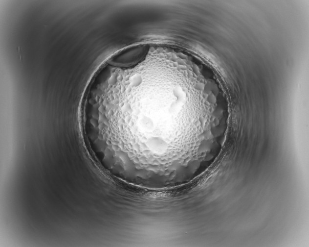 X0000094081283200711021506