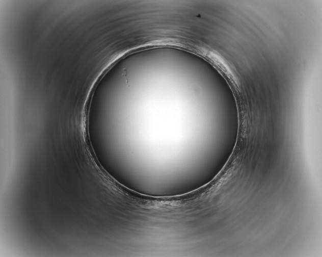 X0000094081284200711021506