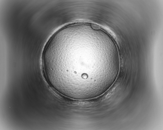 X0000094081287200711021506