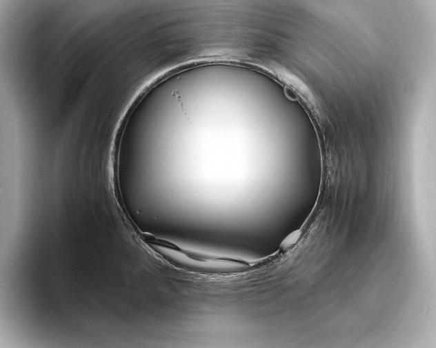 X0000094081288200711021506