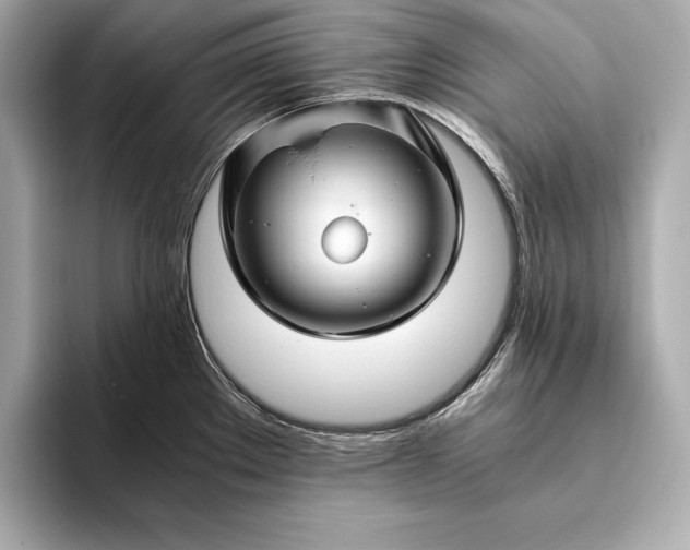 X0000094081289200711021506