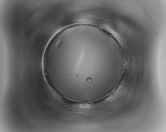 X0000094081291200711021506