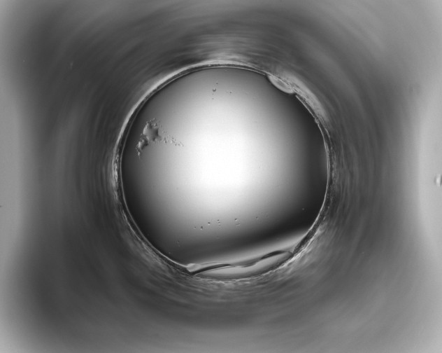 X0000094081292200711021506