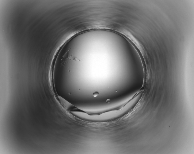 X0000094081293200711021506