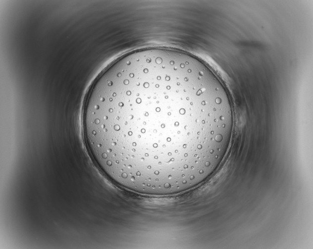 X0000094081294200711021506