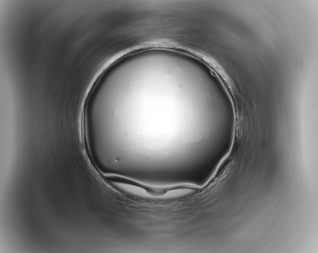 X0000094081295200711021506