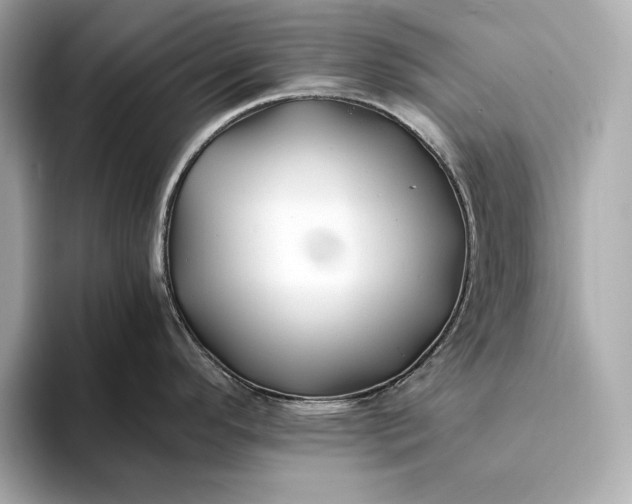 X0000094081296200711021506