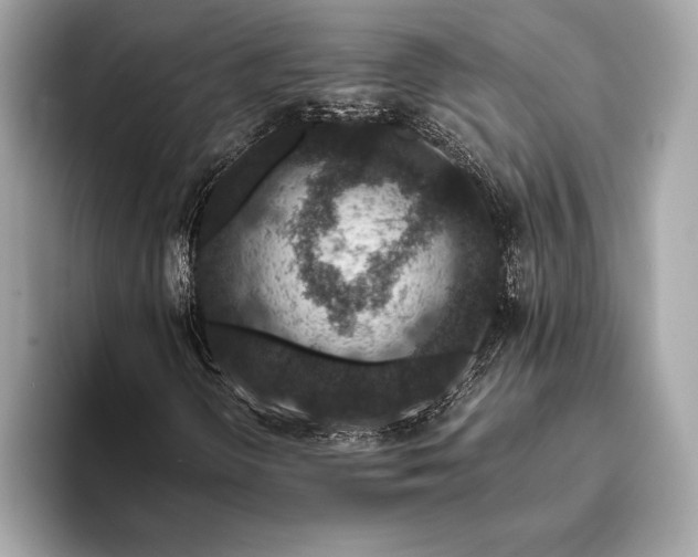 X0000094081298200711021506