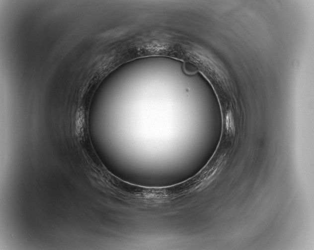 X0000094081299200711021506