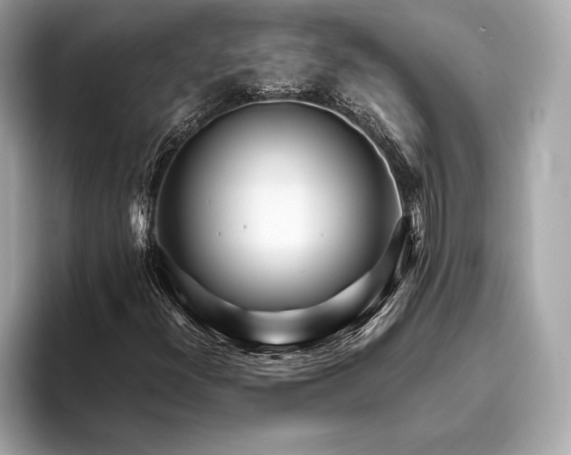 X0000094081300200711021506