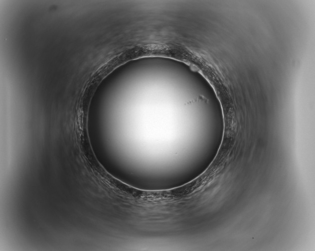 X0000094081301200711021506