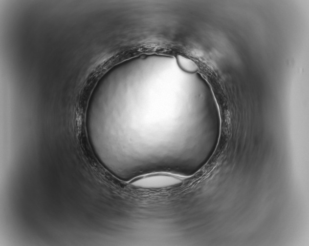 X0000094081302200711021506