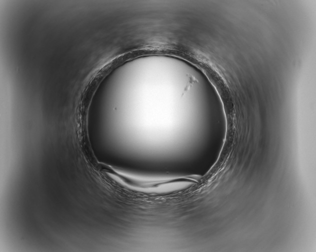 X0000094081304200711021506