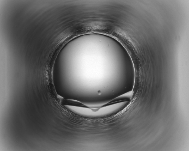 X0000094081305200711021506